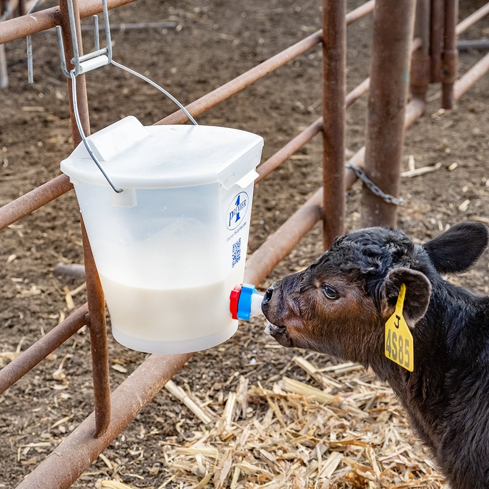 Nursing Bucket